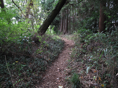 20171005hike (157)